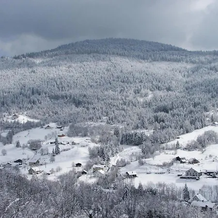 Chalet Familial A Cornimont, Proche Ski Et Voie Verte - Fr-1-589-20